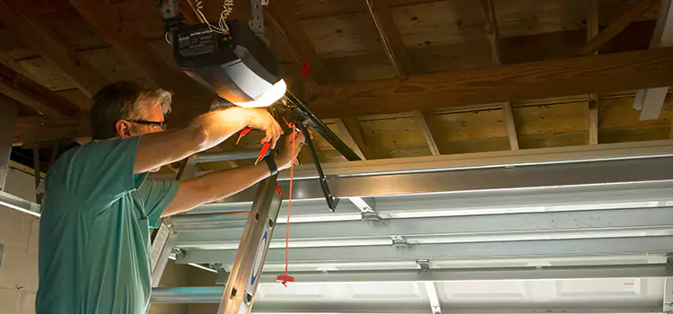 Garage Door Opener Sales and Installation Rockford