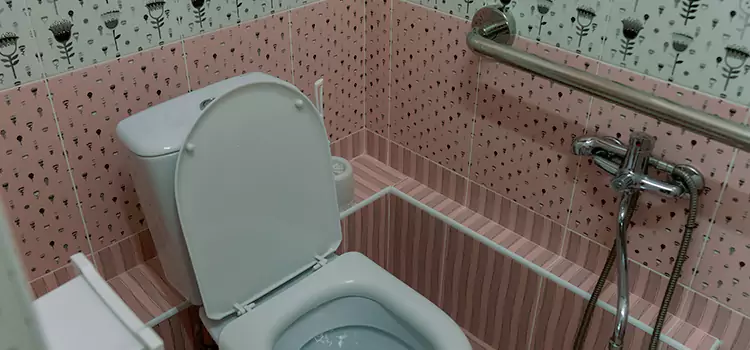 Meeting Diverse Needs With Accessible Restroom Solutions in Rockford, IL
